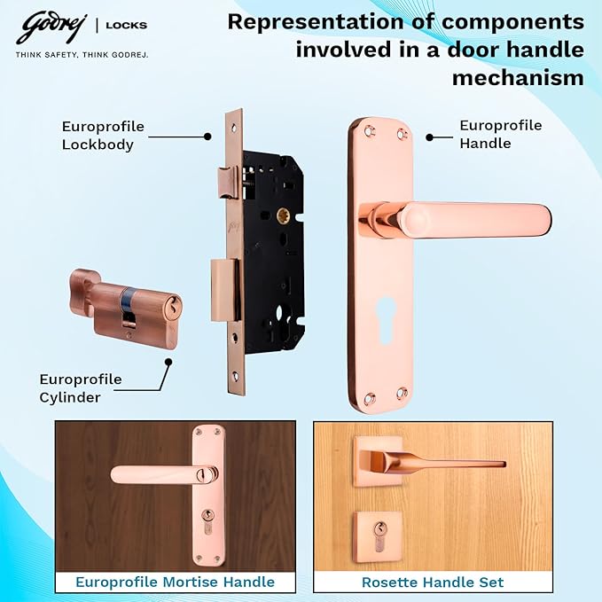 Lyra Pin Cylinder 60 MM 2C SS - Image 2